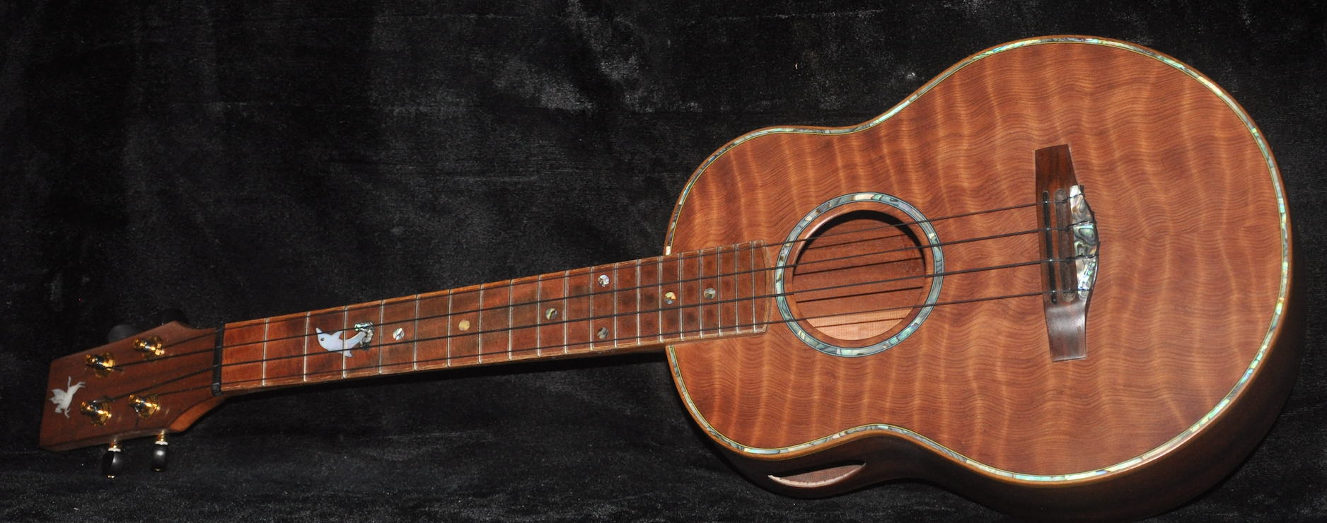 美品】Pegasus Guitars ukulele T4 【超目玉枠】 44.0%割引 ...